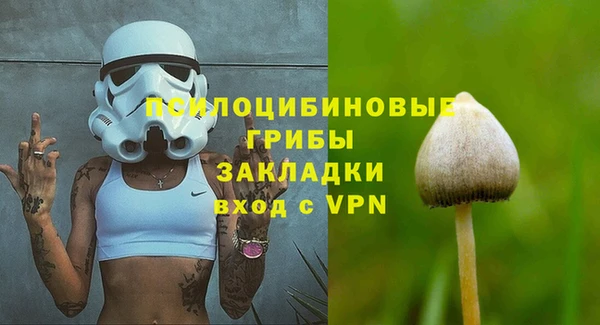 прущая мука Инсар