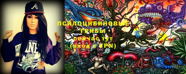 дмт Кущёвская