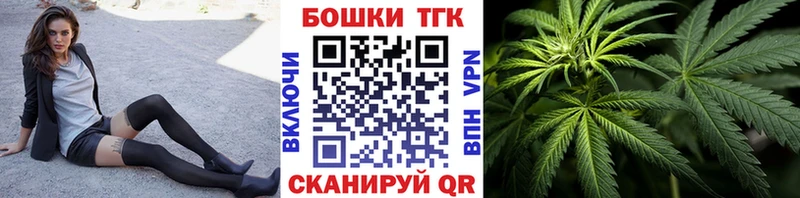 kraken онион  Жердевка  Каннабис индика 